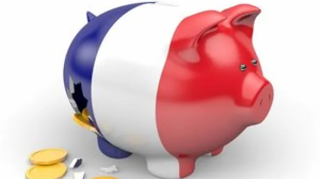 france pig